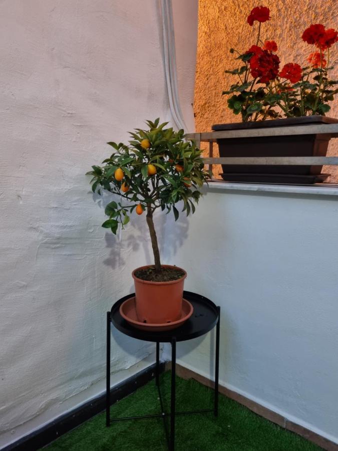 Giardino Moreno Palermo Exteriér fotografie